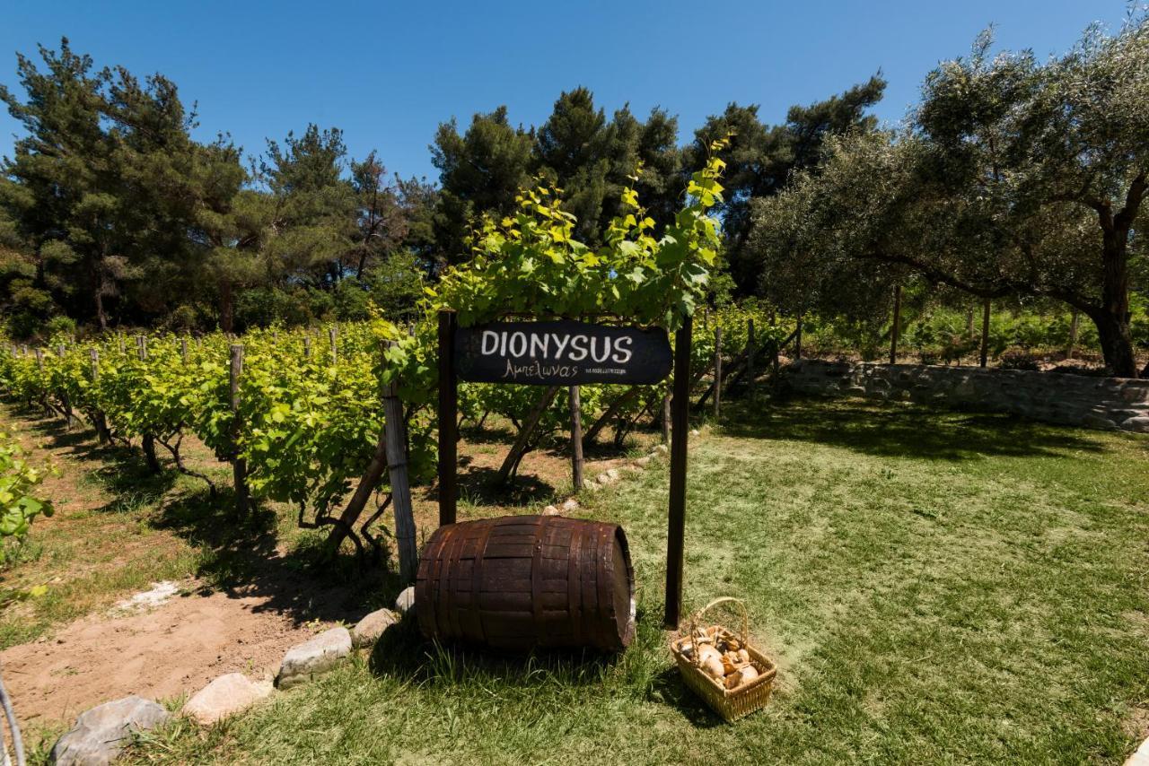 Dionysus Apartments & Suites Ierissos Exteriör bild