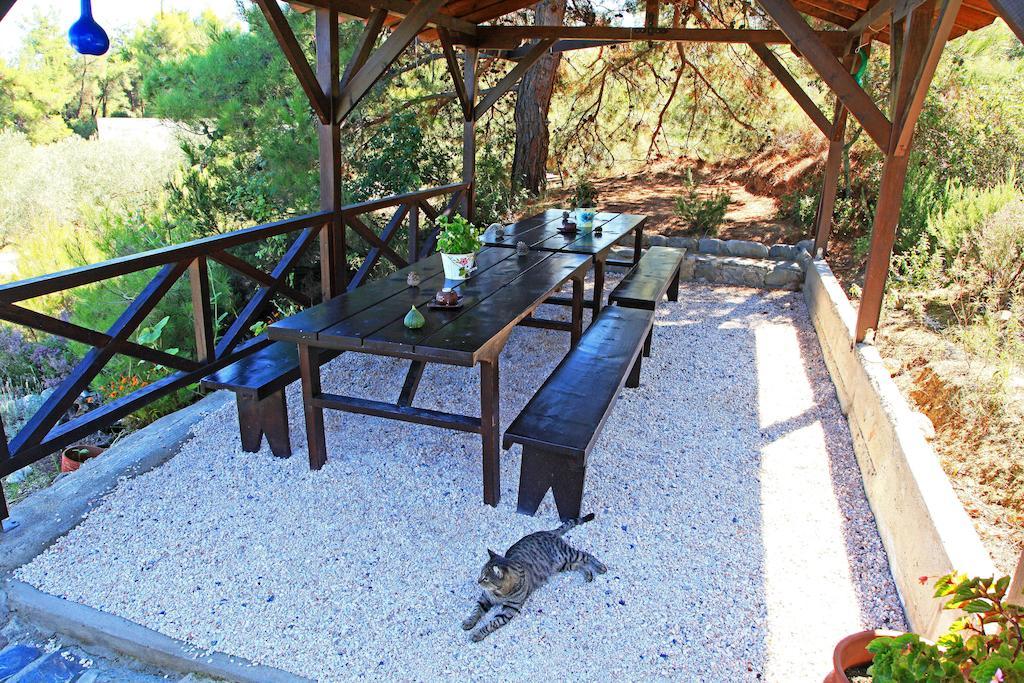 Dionysus Apartments & Suites Ierissos Exteriör bild