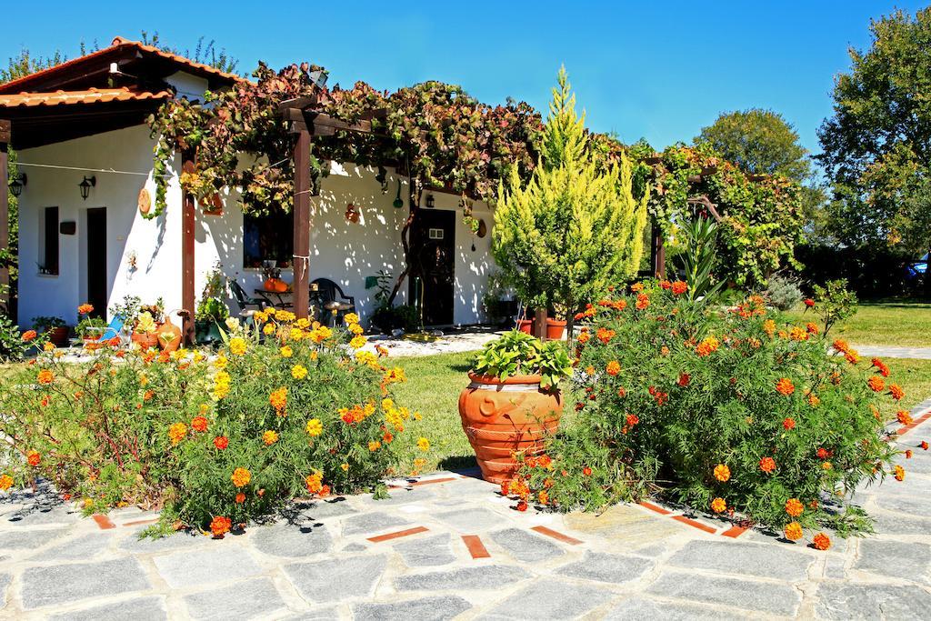 Dionysus Apartments & Suites Ierissos Exteriör bild